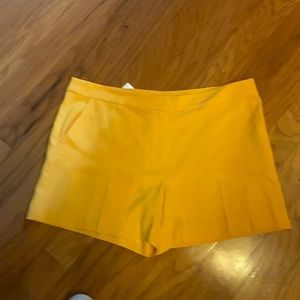 Gorgeous Trina Turk shorts!!!!!  Never worn.  New!!